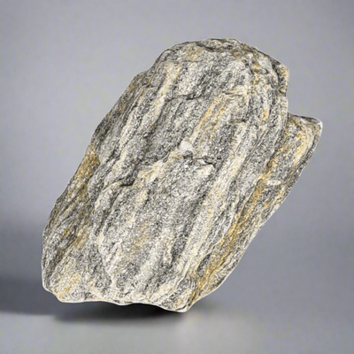 1 x Decorative Rock for Bonsai Tree Landscapes | Maple Bark | 5-10cm - Yorkshire Bonsai