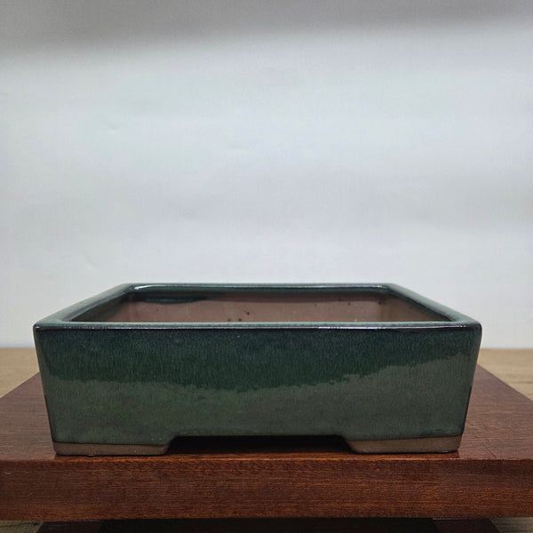 25cm Glazed Bonsai Pot | Rectangle | 25cm x 18cm x 9cm | Dark Green