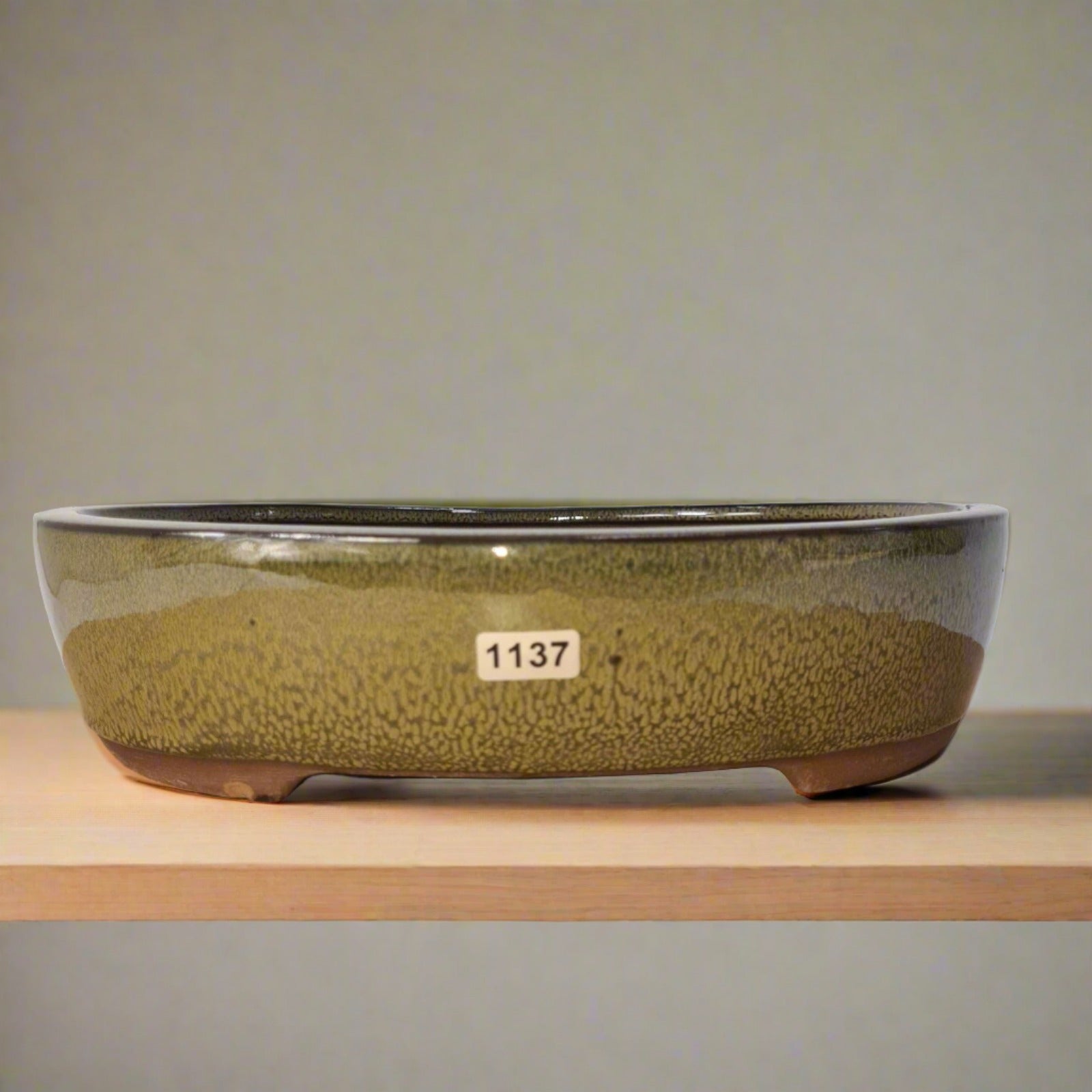32cm Glazed Bonsai Pot | Oval | 32cm x 26cm x 7cm | Green main image 1