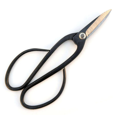 Chinese Curved Handle Bonsai Shears 205mm - Yorkshire Bonsai