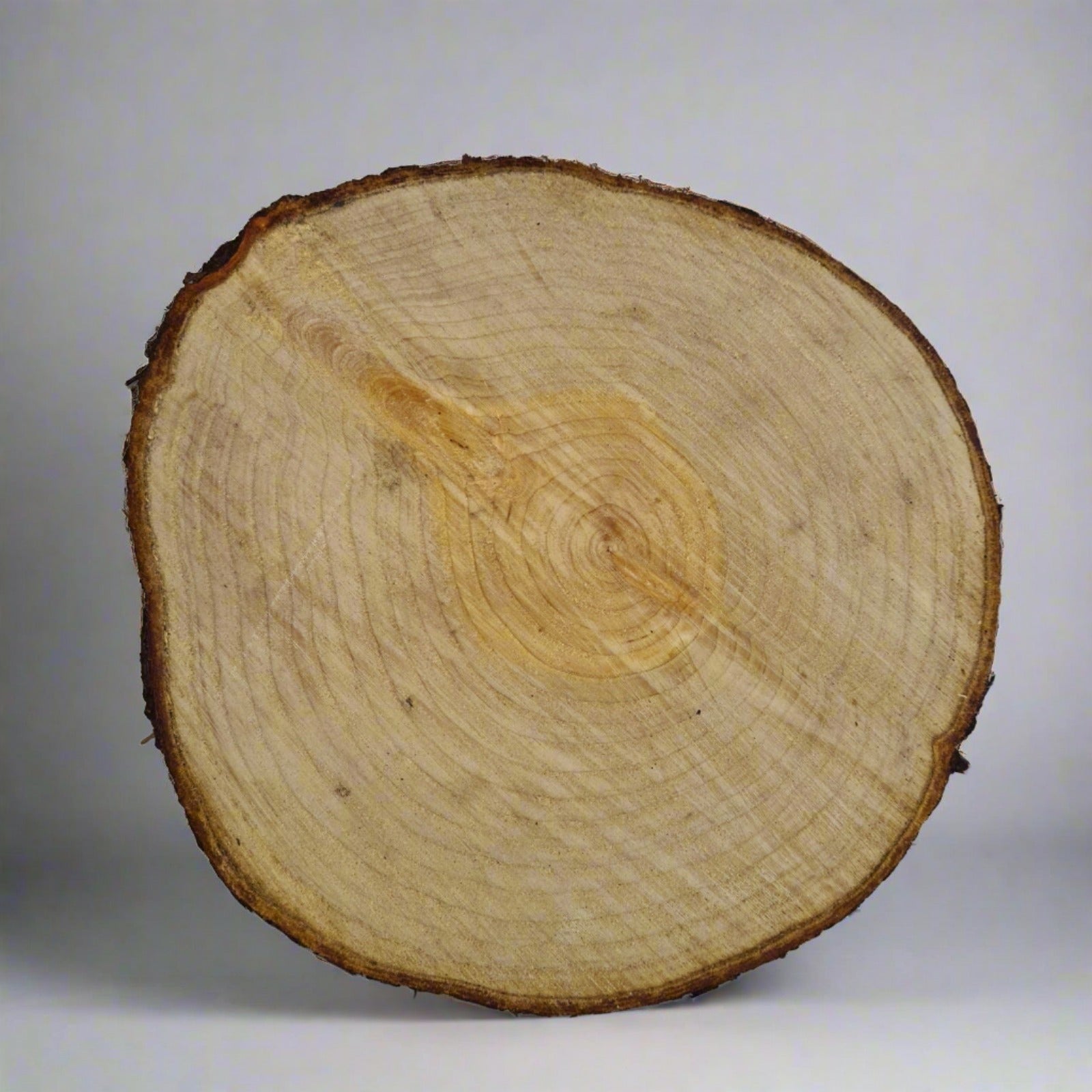 Handcrafted Wooden Bonsai Stand Cypress Wood Water Resistant Var