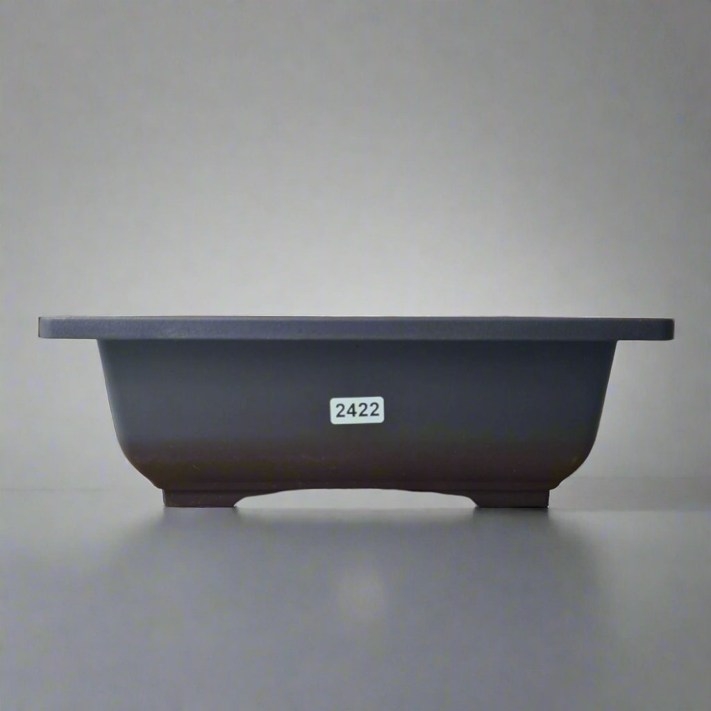 Plastic Bonsai Training Pot | Rectangle