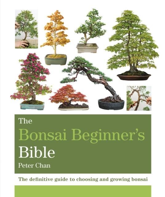 bonsai tree beginner guide The Bonsai Beginner's Bible : The definitive guide to choosing and gro – Yorkshire Bonsai
