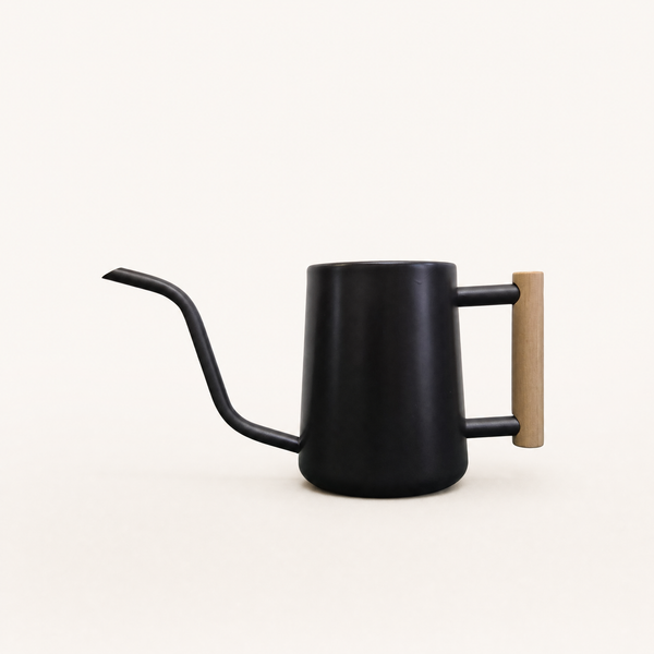 Black 300ml stainless steel bonsai watering can with a long curved spout
