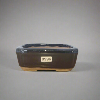 12cm Glazed Bonsai Pot | Rectangle | 12cm x 10cm x 5cm | Black - Yorkshire Bonsai