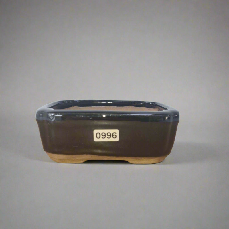 12cm Glazed Bonsai Pot | Rectangle | 12cm x 10cm x 5cm | Black - Yorkshire Bonsai
