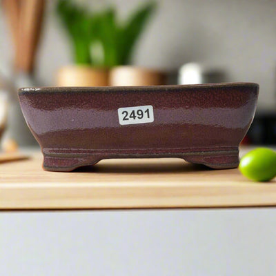 15cm Glazed Bonsai Pot | Rectangle | 15cm x 11cm x 5cm | Dark Red - Yorkshire Bonsai