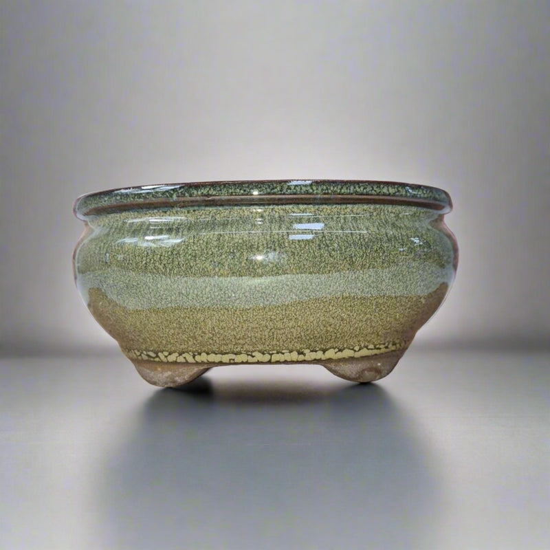 16cm Glazed Bonsai Pot | Oval | 16cm x 13cm x 6cm | Green - Yorkshire Bonsai