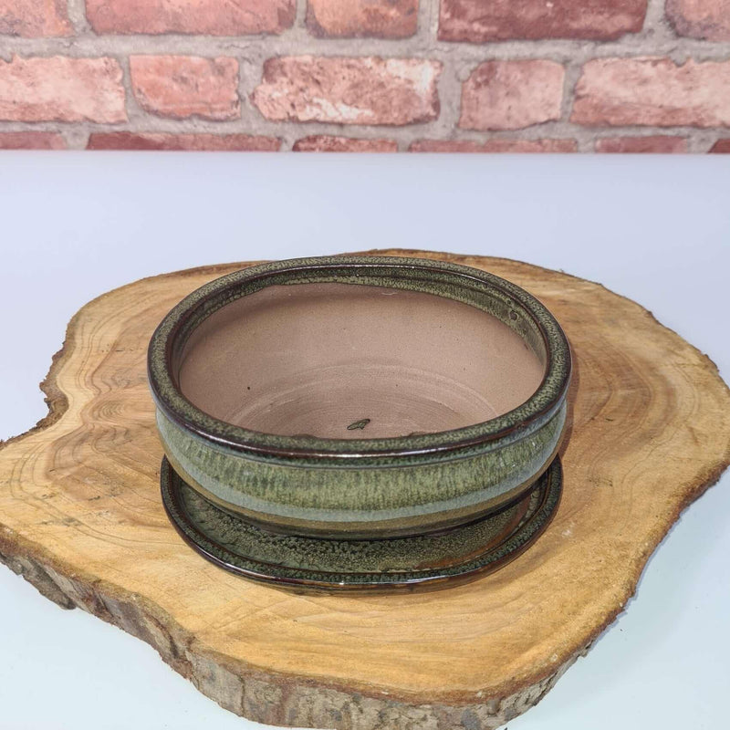 16cm Glazed Bonsai Pot | Oval | 16cm x 13cm x 6cm | Green