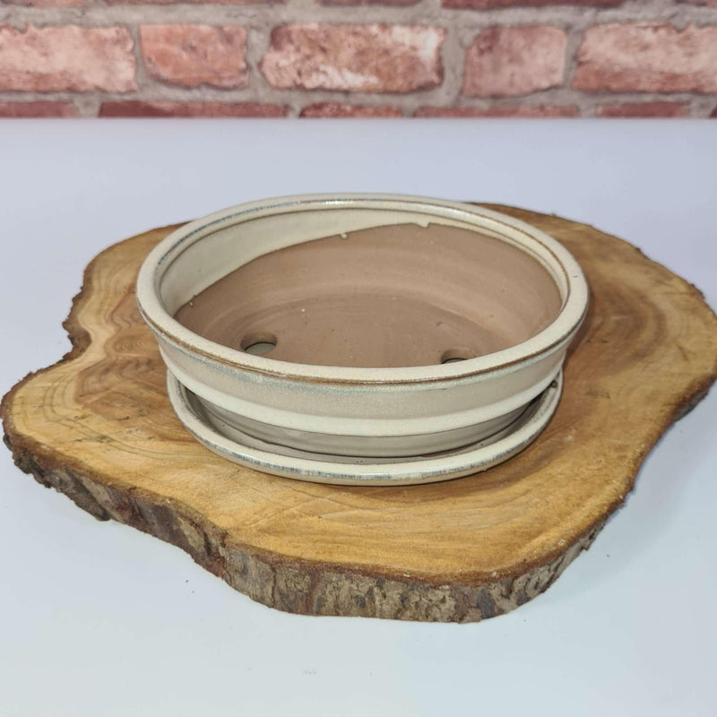 16cm Glazed Bonsai Pot | Oval | 16cm x 12cm x 3cm | White