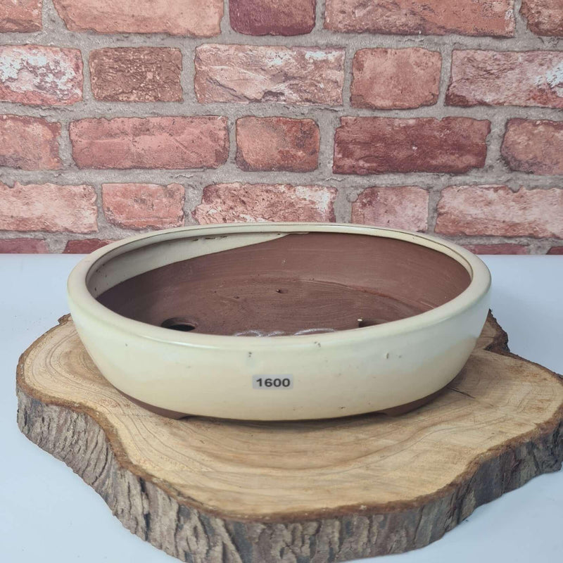 26cm Glazed Bonsai Pot | Oval | 26cm x 22cm x 6.5cm | White
