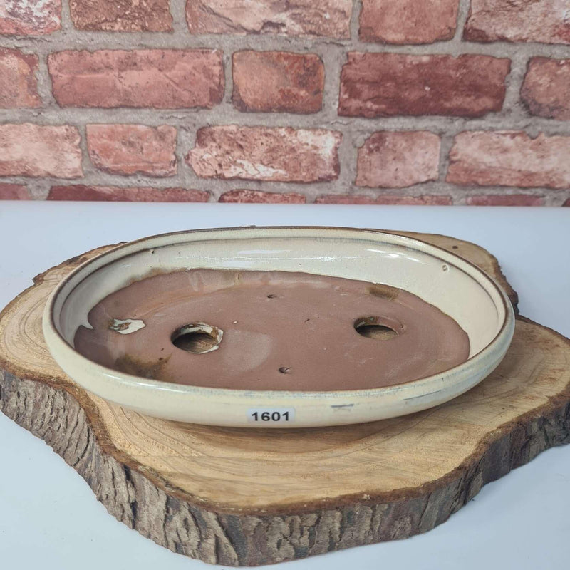 25cm Glazed Bonsai Pot | Oval | 25cm x 18cm x 4.5cm | White