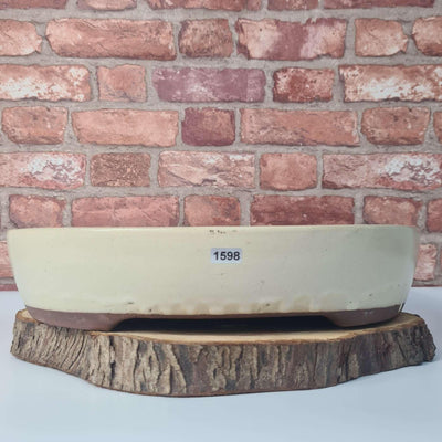 38cm Glazed Bonsai Pot | Oval | 38cm x 31cm x 8cm | White