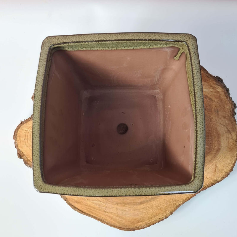 19cm Glazed Cascade Bonsai Pot | Square | 19cm x 19cm x 14cm | Green