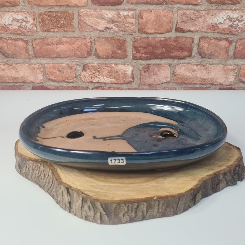 25cm Glazed Bonsai Pot | Oval | 25cm x 18cm x 4.5cm | Blue - Yorkshire Bonsai