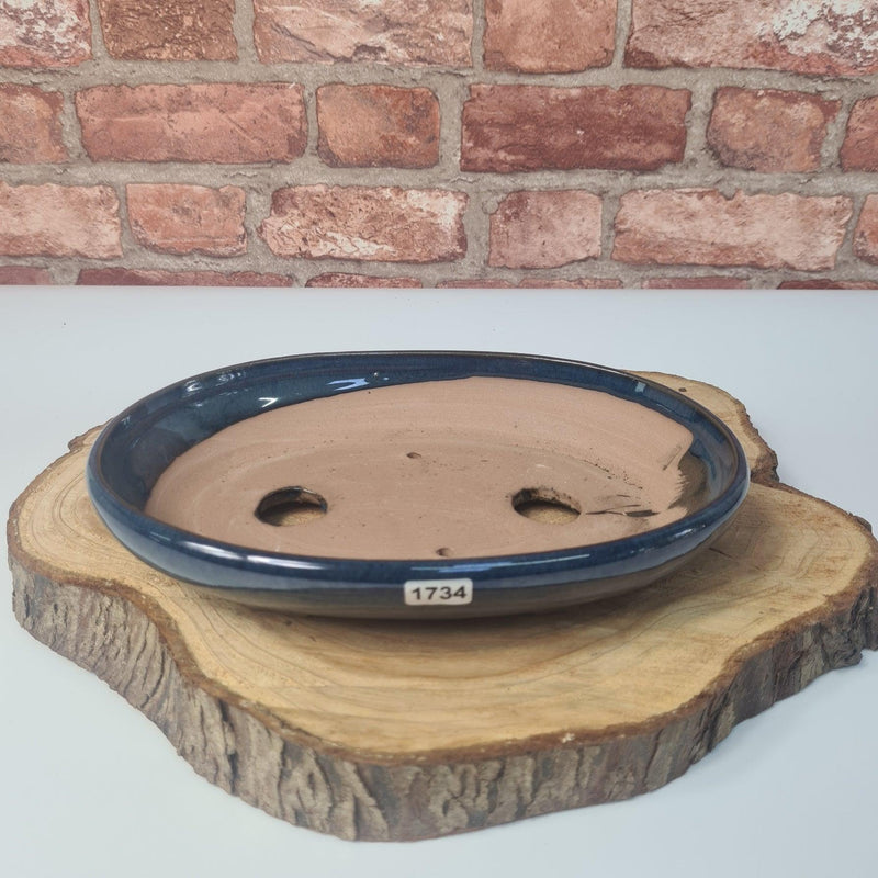 31cm Glazed Bonsai Pot | Oval | 31cm x 22cm x 4.5cm | Blue - Yorkshire Bonsai