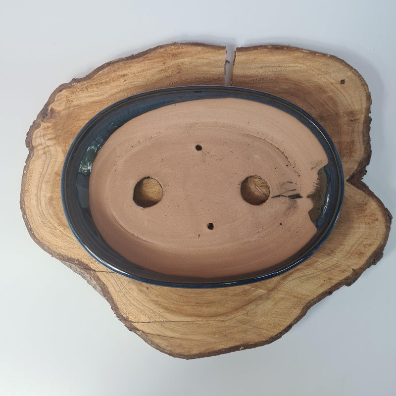 31cm Glazed Bonsai Pot | Oval | 31cm x 22cm x 4.5cm | Blue - Yorkshire Bonsai