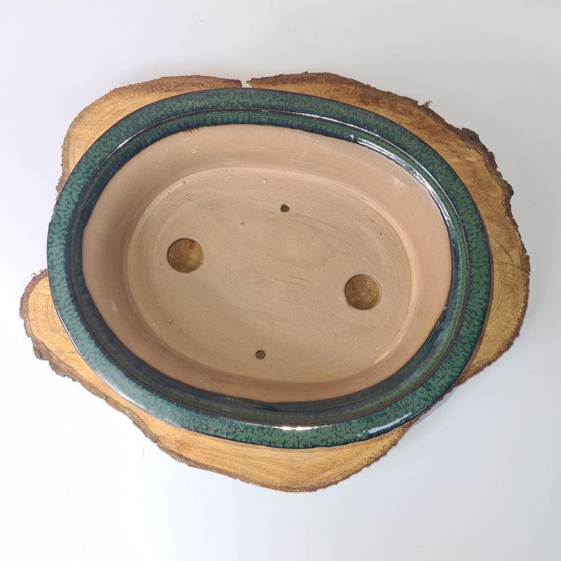 27cm Glazed Bonsai Pot | Oval | 27cm x 21cm x 7cm | Green