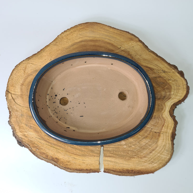 21cm Glazed Bonsai Pot | Oval | 21cm x 16cm x 7cm | Blue