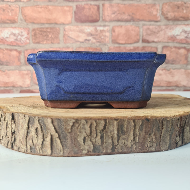 CLEARANCE 15cm Glazed Bonsai Pot | Rectangle | 15cm x 10cm x 6cm | Blue