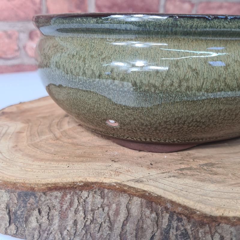 CLEARANCE 26cm Glazed Bonsai Pot | Oval | 26cm x 20cm x 6cm | Green