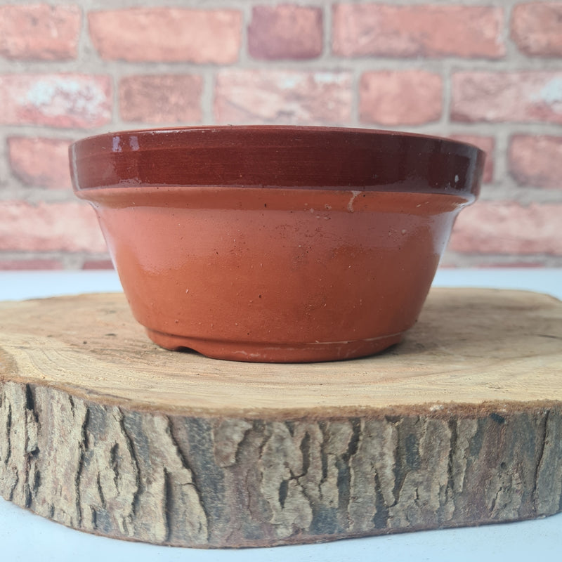 CLEARANCE 16cm Terracotta Bonsai Pot | Round | 16cm x 8cm | Brown