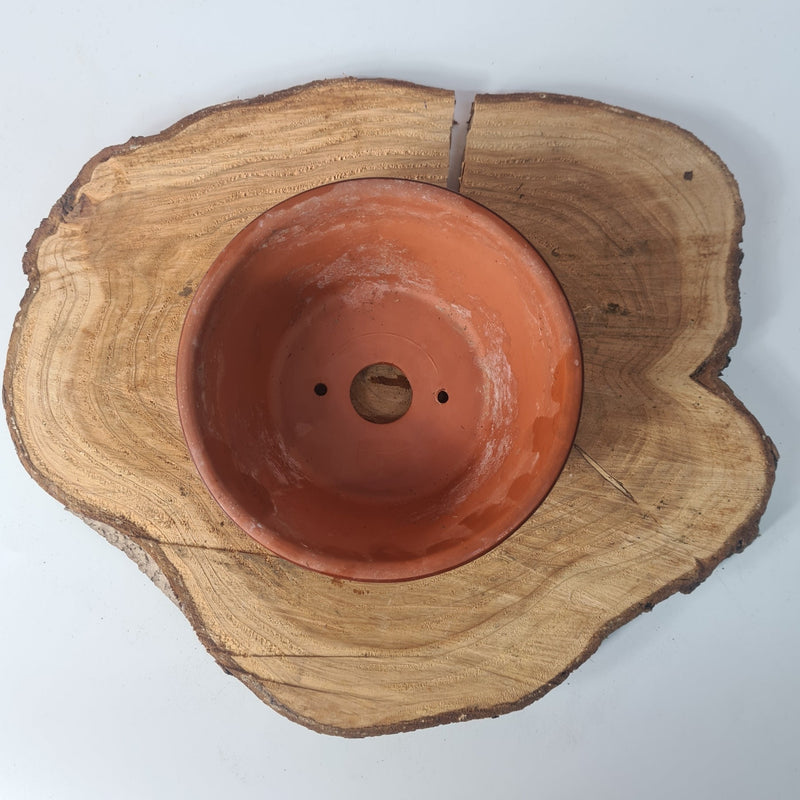 CLEARANCE 14cm Terracotta Bonsai Pot | Round | 14cm x 8cm | Brown