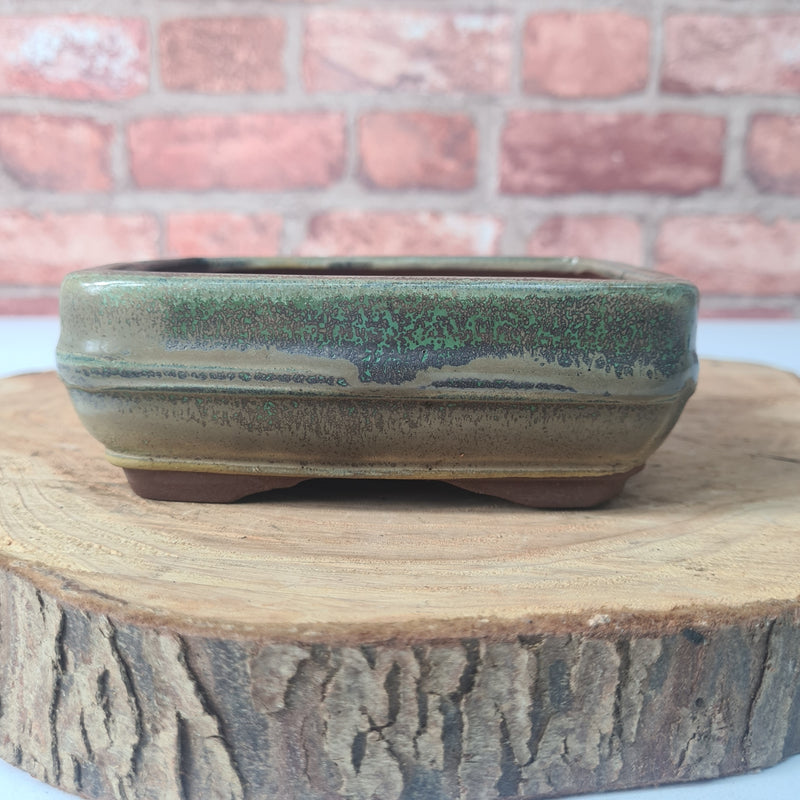 CLEARANCE 14cm Glazed Bonsai Pot | Rectangle | 14cm x 10cm x 5cm | Green
