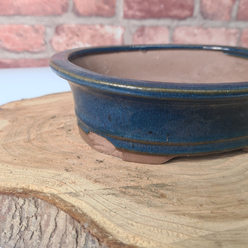 CLEARANCE 21cm Glazed Bonsai Pot | Oval | 21cm x 17cm x 6cm | Blue
