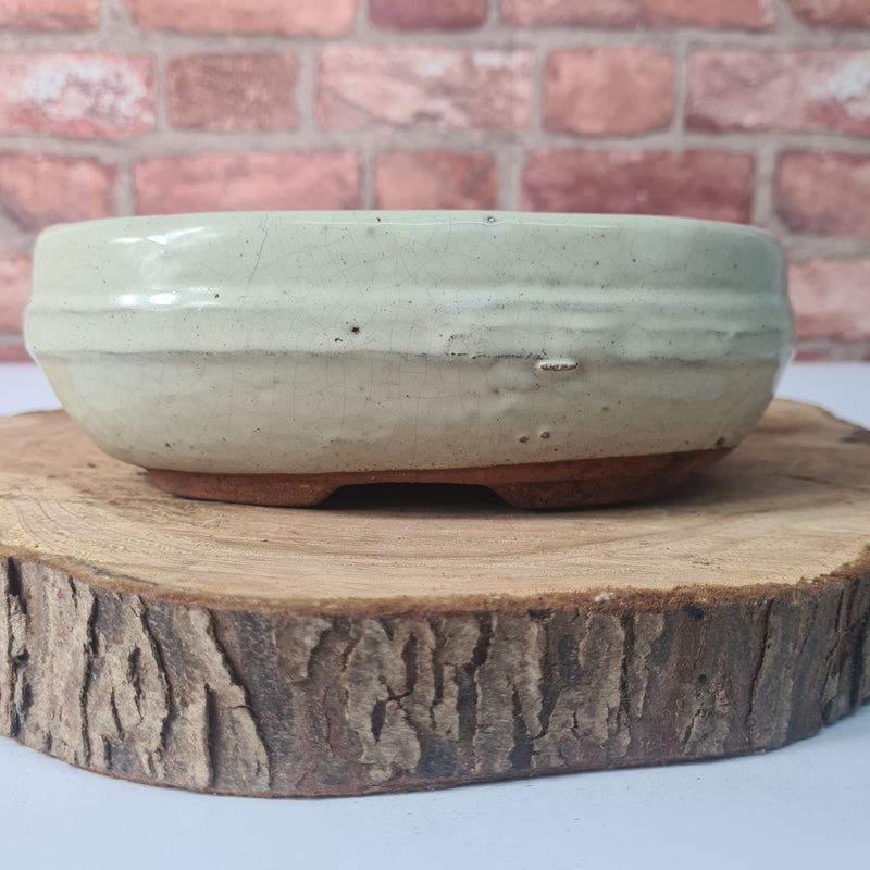 CLEARANCE 19cm Glazed Bonsai Pot | Oval | 19cm x 13cm x 7cm | White