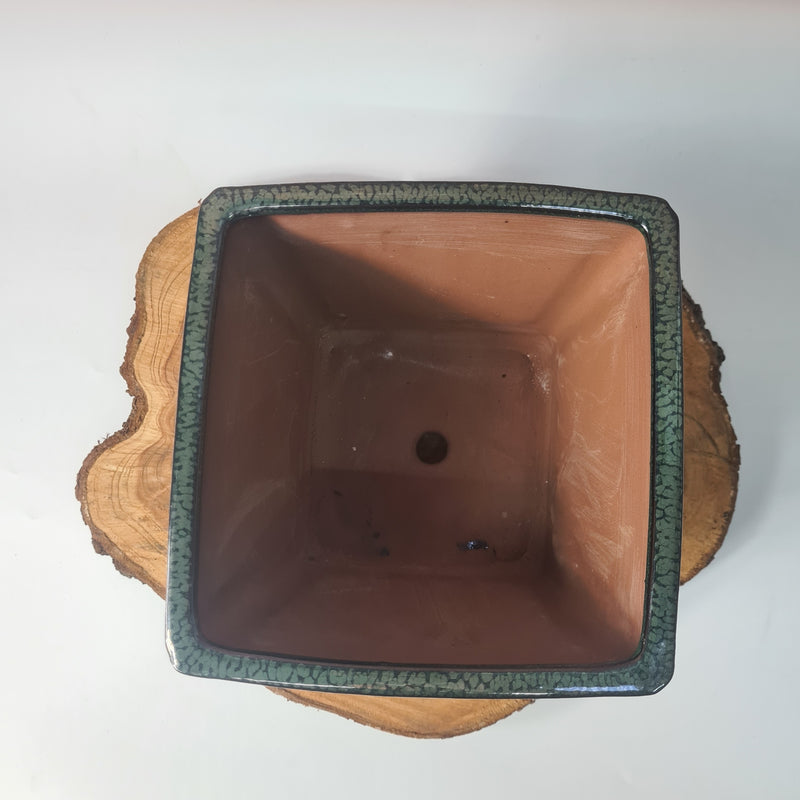 19cm Glazed Cascade Bonsai Pot | Square | 19cm x 19cm x 14cm | Dark Green