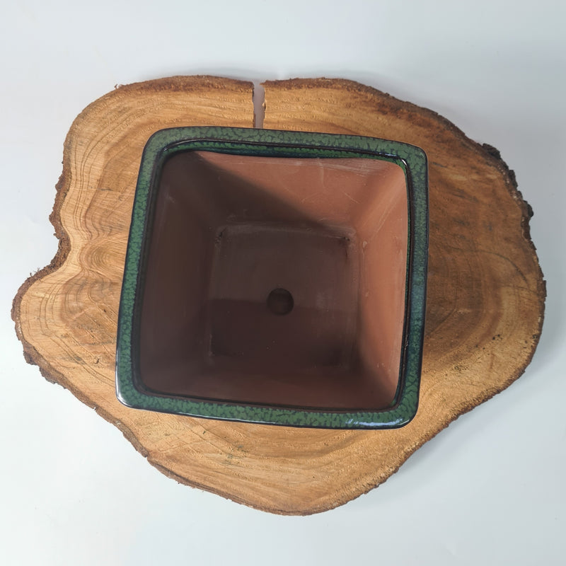 15cm Glazed Cascade Bonsai Pot | Square | 15cm x 15cm x 12cm | Dark Green