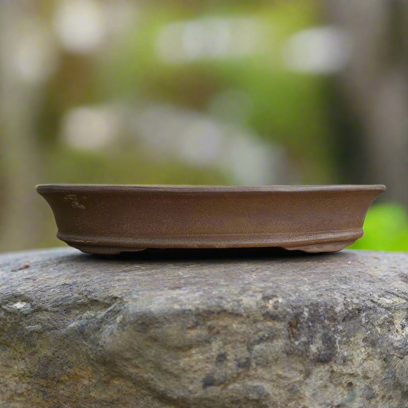 51cm Premium Unglazed Bonsai Pot | Oval | 51cm x 36cm x 10cm | Brown