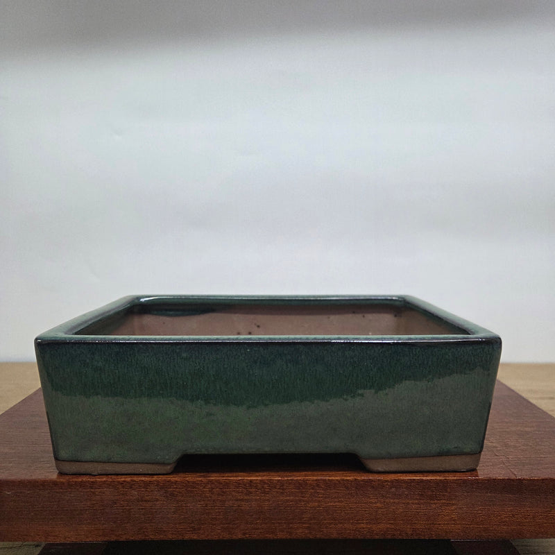 25cm Glazed Bonsai Pot | Rectangle | 25cm x 18cm x 9cm | Dark Green