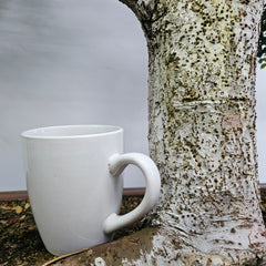 Large Chinese Elm (Ulmus Parvifolia) Bonsai Tree | Shaped Style | Height 110cm | In 60cm Pot | 5282