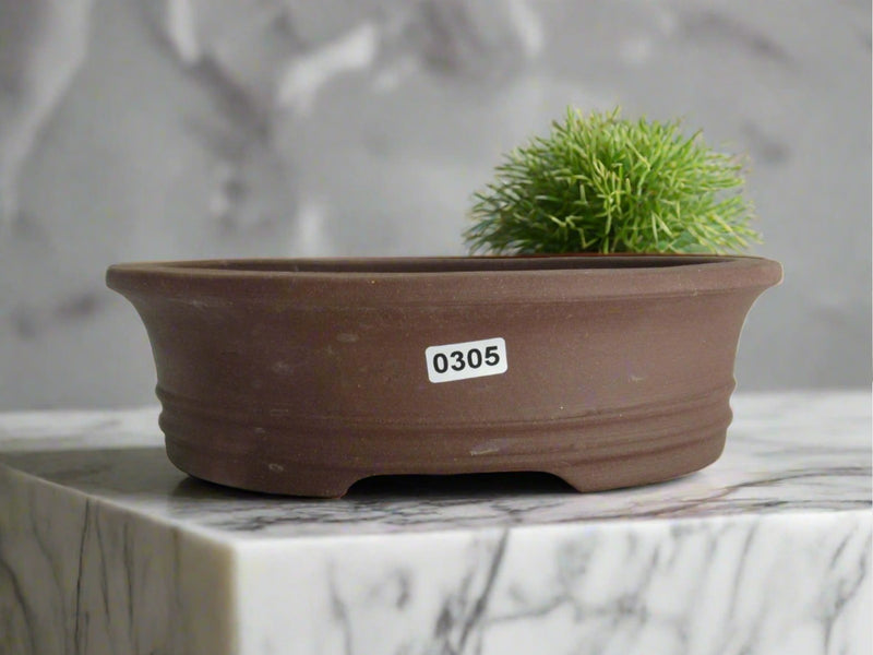 21cm Unglazed Bonsai Pot | Oval | 21cm x 18cm x 6cm | Brown - Yorkshire Bonsai