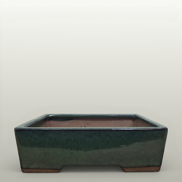 22cm Glazed Bonsai Pot | Rectangle | 22cm x 17cm x 7cm | Dark Green - Yorkshire Bonsai standardised image 20260605-135504