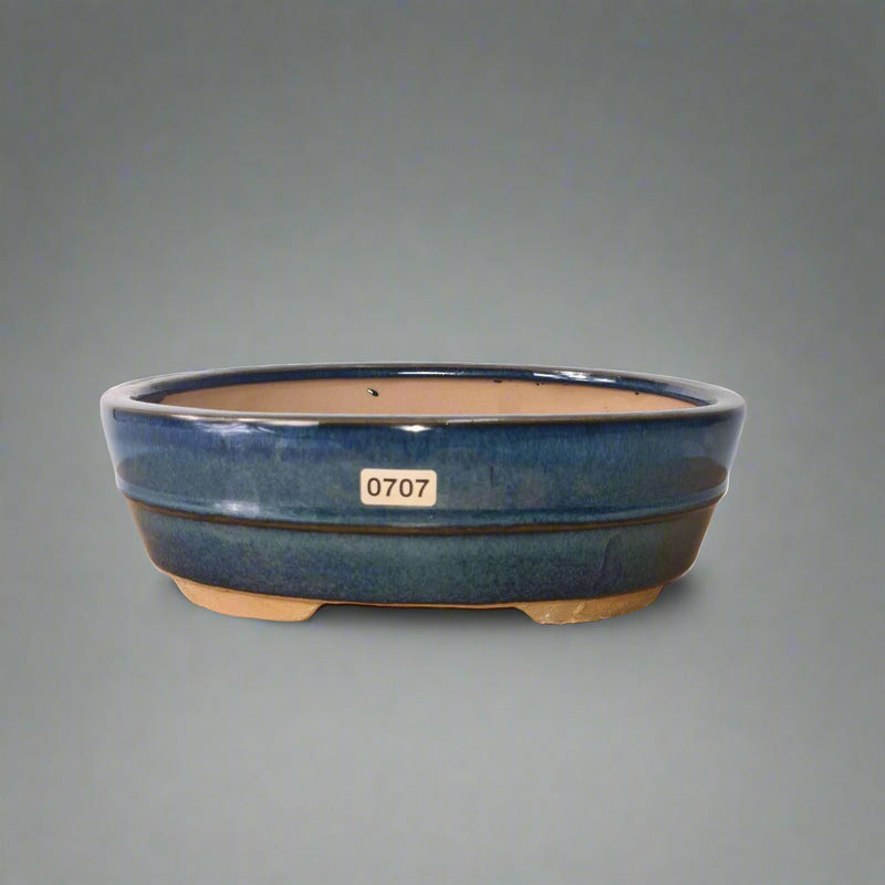 22cm Glazed Bonsai Pot | Oval | 22cm x 16cm x 7cm | Blue - Yorkshire Bonsai