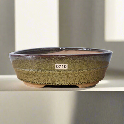 22cm Glazed Bonsai Pot | Oval | 22cm x 16cm x 7cm | Green - Yorkshire Bonsai