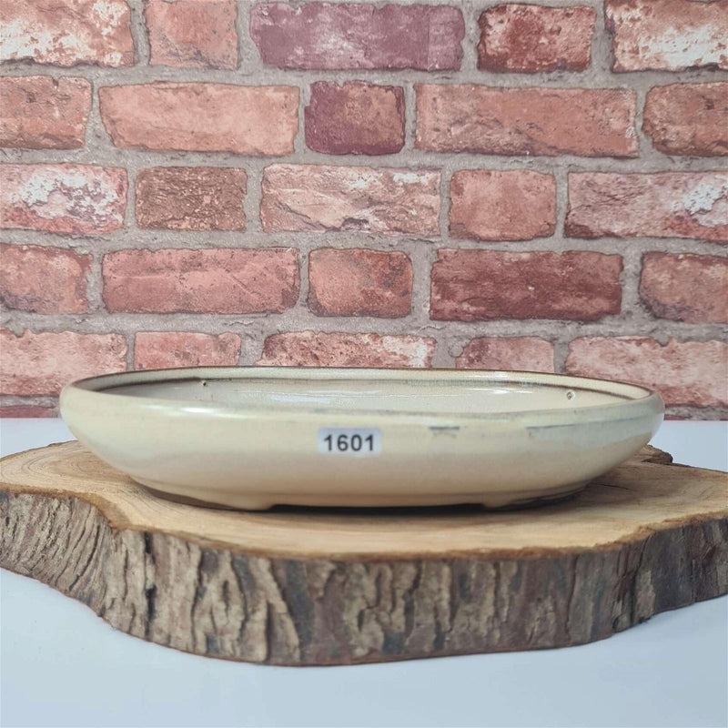 25cm Glazed Bonsai Pot | Oval | 25cm x 18cm x 4.5cm | White - Yorkshire Bonsai