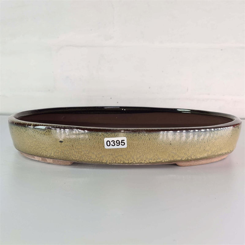 26cm Glazed Bonsai Pot | Oval | 26cm x 19cm x 4cm | Green - Yorkshire Bonsai