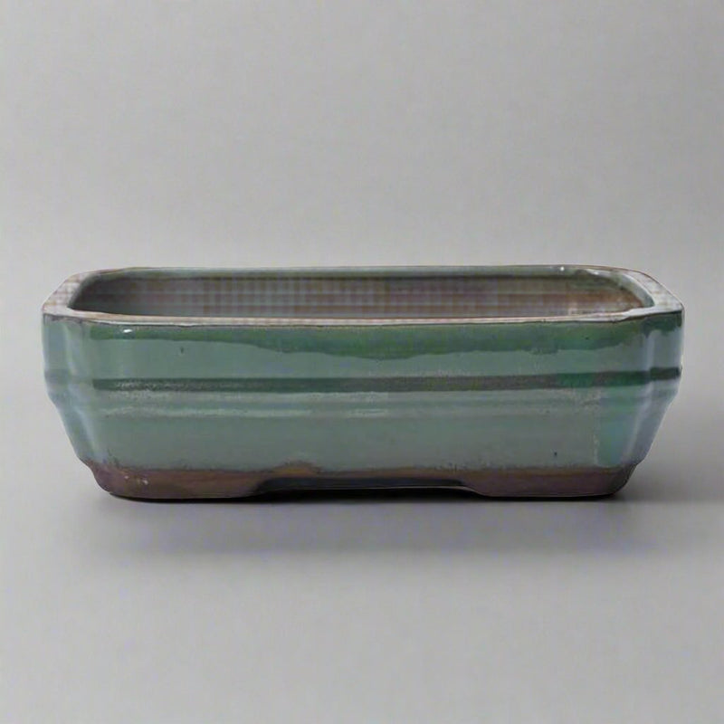 26cm Glazed Bonsai Pot | Oval | 26cm x 20cm x 6cm | Green - Yorkshire Bonsai