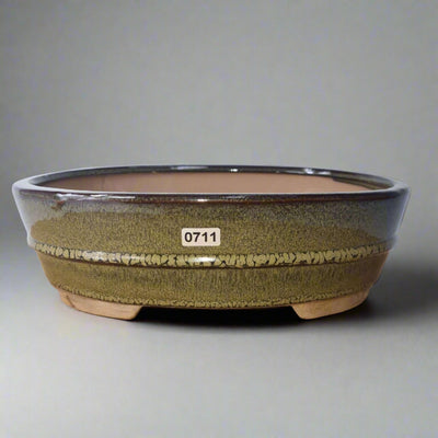 26cm Glazed Bonsai Pot | Oval | 26cm x 20cm x 8cm | Green - Yorkshire Bonsai