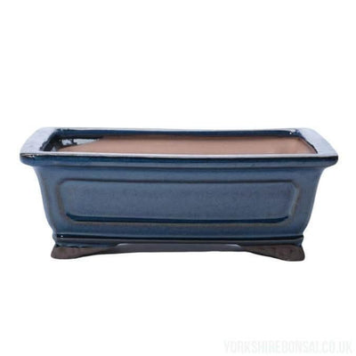 26cm Glazed Bonsai Pot | Rectangle | 26cm x 21cm x 9cm | Blue - Yorkshire Bonsai