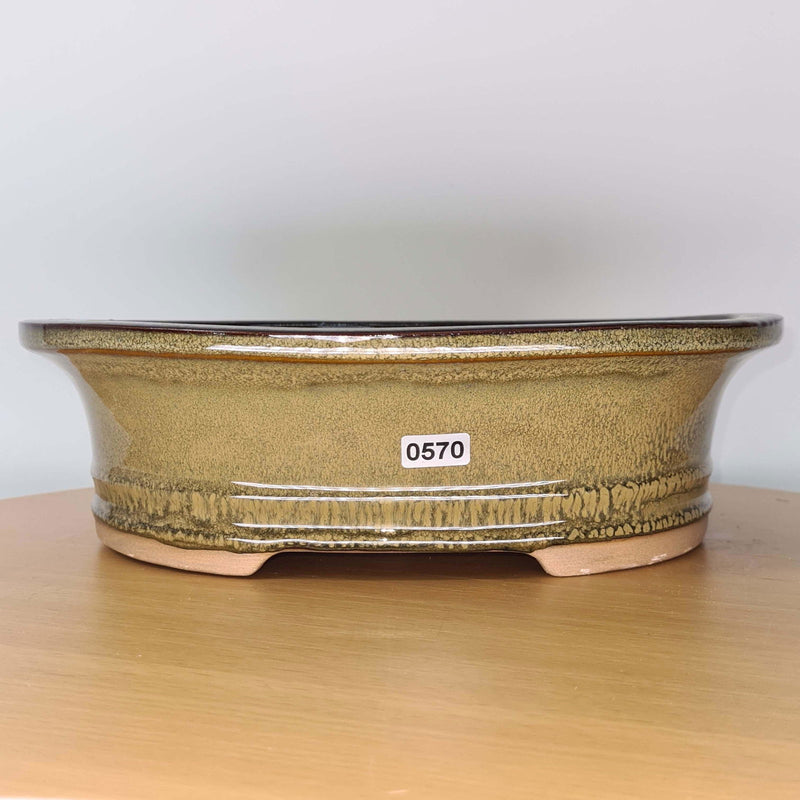 31cm Glazed Bonsai Pot | Oval | 31cm x 25cm x 9cm | Green - Yorkshire Bonsai