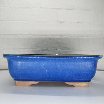 31cm Glazed Bonsai Pot | Rectangle | 31cm x 25cm x 10cm | Blue - Yorkshire Bonsai