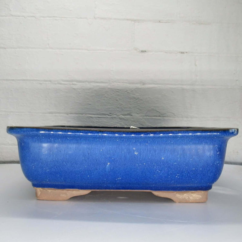 31cm Glazed Bonsai Pot | Rectangle | 31cm x 25cm x 10cm | Blue - Yorkshire Bonsai