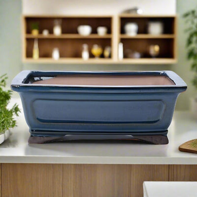 31cm Glazed Bonsai Pot | Rectangle | 31cm x 25cm x 12cm | Rectangle | Blue - Yorkshire Bonsai