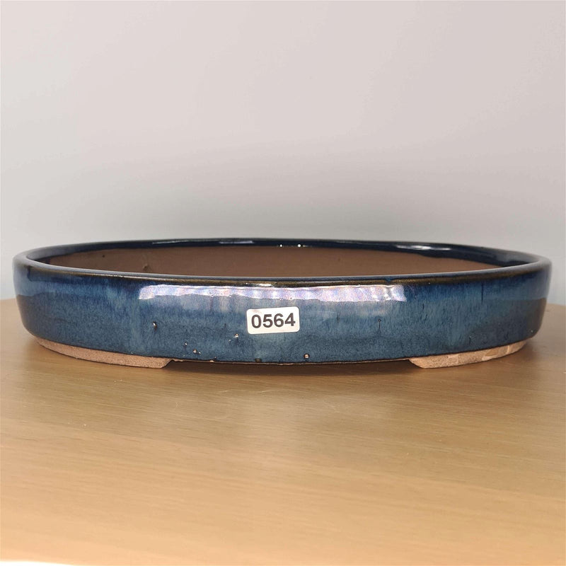 32cm Glazed Bonsai Pot | Oval | 32cm x 22cm x 4.5cm | Blue - Yorkshire Bonsai