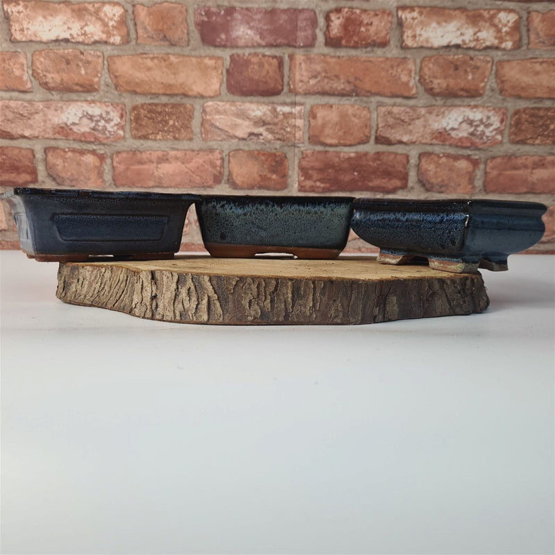 CLEARANCE 15cm Glazed Bonsai Pot | Rectangle | 15cm x 10cm x 6cm | Blue - Yorkshire Bonsai